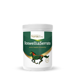 Na układ ruchu Boswellia Serrata 0,9kg HORSELINEPRO