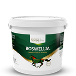 Na układ ruchu Boswellia Serrata 2kg HORSELINEPRO