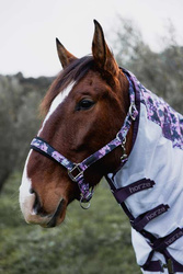 Kantar DREAMER dapple print  HORZE