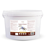 Suplement na wrzody GastroProtect 3kg OVER HORSE