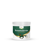 Na układ ruchu Boswellia Serrata 0,5kg HORSELINEPRO